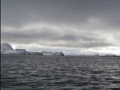 Cod Fishing29